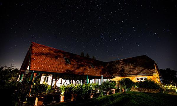 Bed and Breakfast Weingut Albert, Familie Cramer à Kitzeck im Sausal Extérieur photo